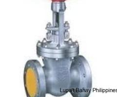 GATE VALVES SUPPLIERS IN KOLKATA