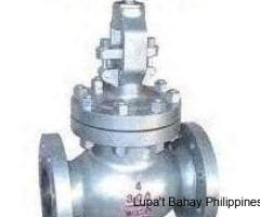 GLOBE VALVES SUPPLIERS IN KOLKATA