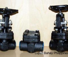 STEAM VALVES DEALERS IN KOLKATA