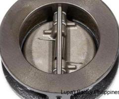 DUAL PLATE CHECK VALVES DEALERS IN KOLKATA